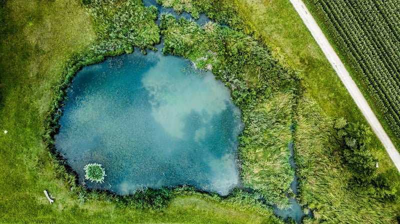 Mermaid Ponds